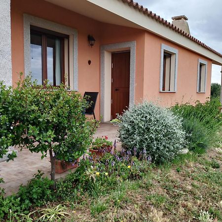 Agriturismo Gli Olivastri: Seaside Apartment with Pool and Solarium Aglientu Exterior photo