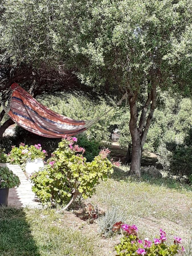 Agriturismo Gli Olivastri: Seaside Apartment with Pool and Solarium Aglientu Exterior photo