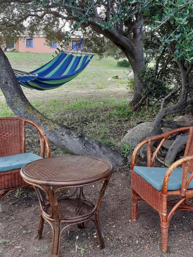 Agriturismo Gli Olivastri: Seaside Apartment with Pool and Solarium Aglientu Exterior photo